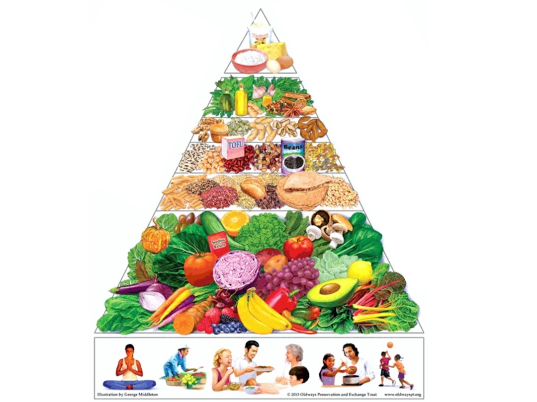 senior diet calcium vitamin D food guide plate