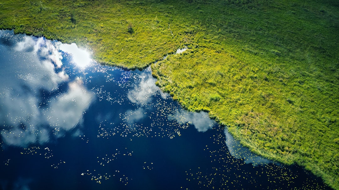 SMR global deployment map carbon neutrality energy transition countries 2026