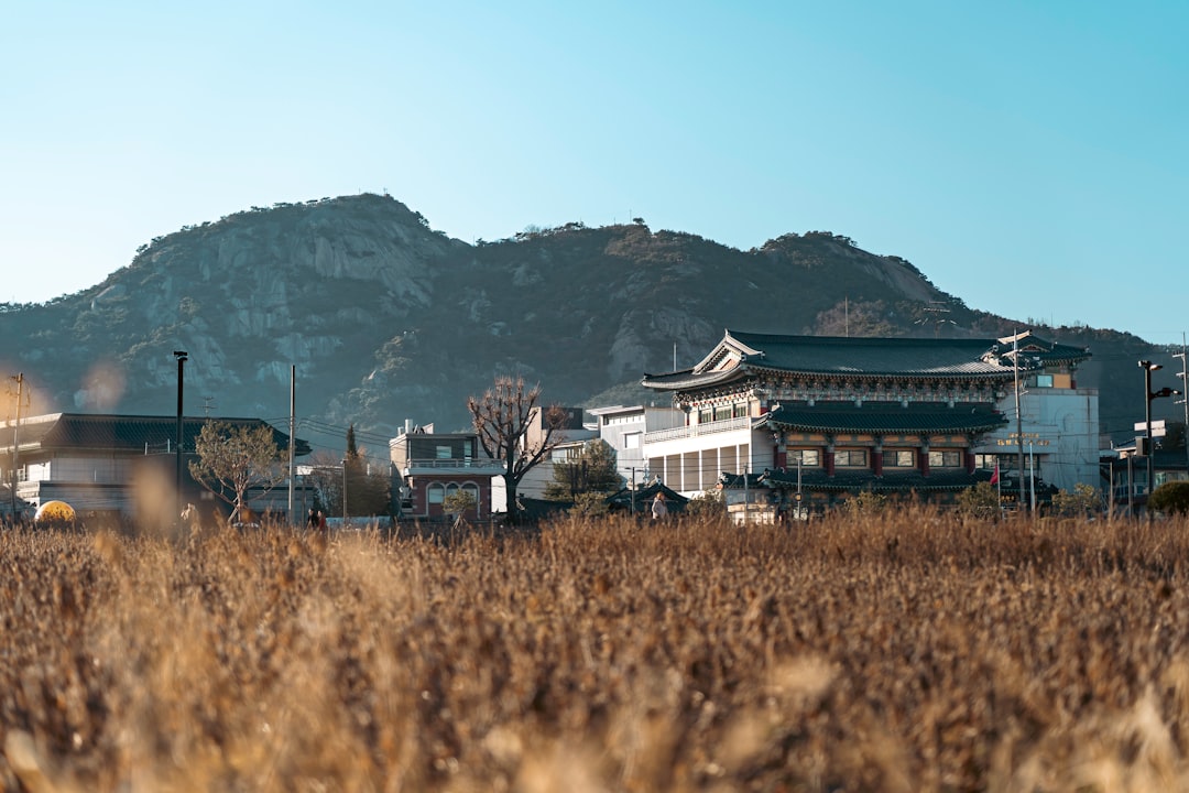 Korea ETF gold copper agriculture investment portfolio