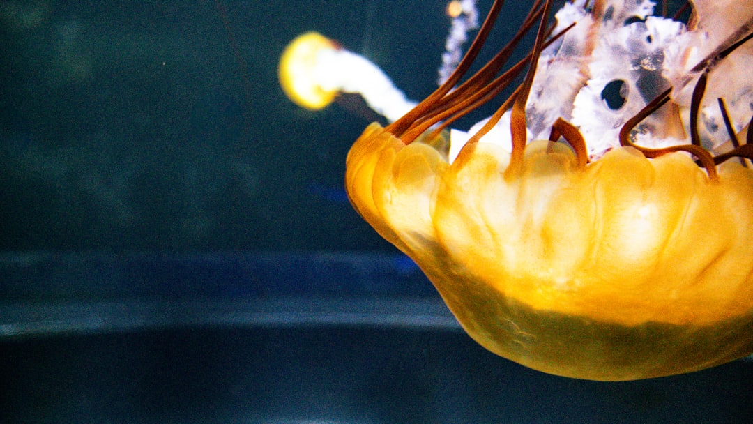 semiconductor chips oil barrels stock market portfolio 2026