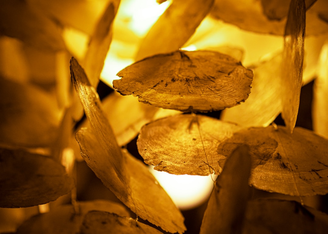 commodity ETF portfolio diversification metals energy allocation