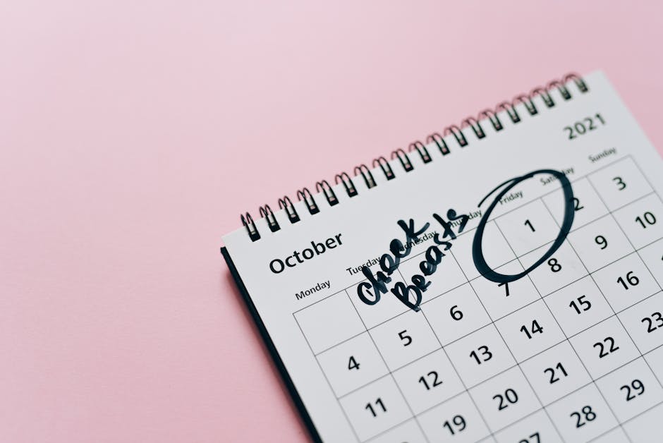 countdown calendar important date celebration planner