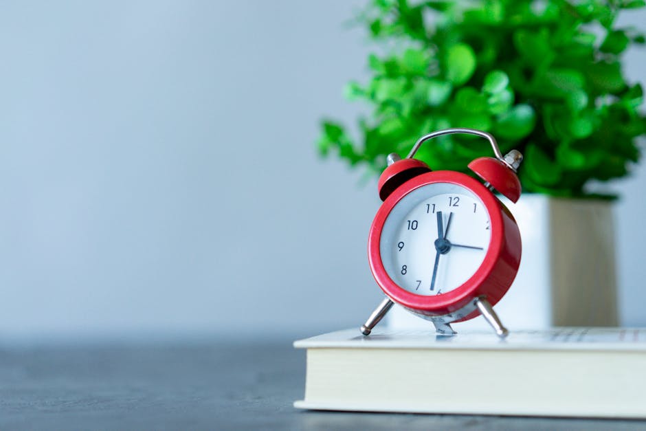 pomodoro timer productivity focus work desk tomato clock