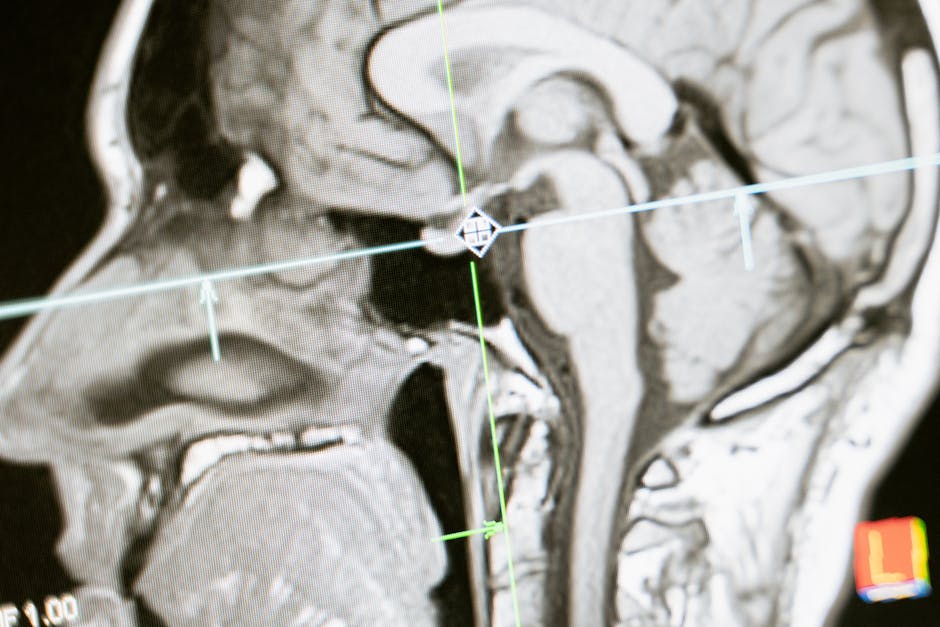 elderly bone density DEXA scan, senior brain MRI checkup